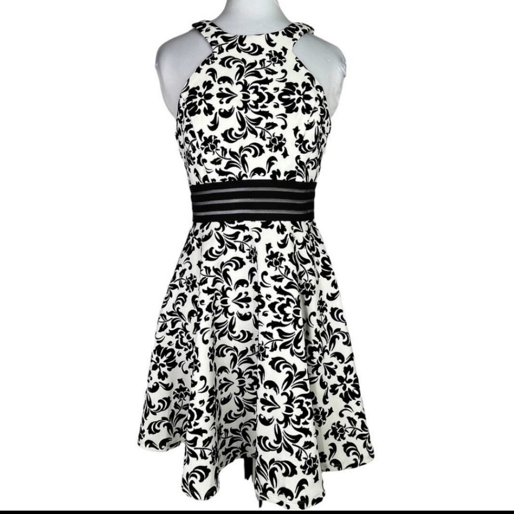 Skater Fit & Flare Embroidered Velvet Mini Dress, Bra padding, Sheer Mesh, S